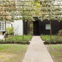 Garden Plants