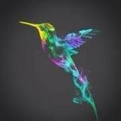 Donnette Ryan Plunkett's photo