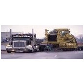 Patric Morelan's photo