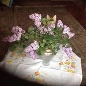 Foto von Олеся