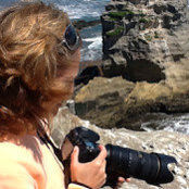 Maia Bird's photo