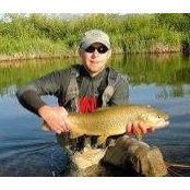 Paul Jakovac's photo