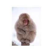 Wayne Yealands's photo