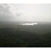 Aneil Nandlal's photo