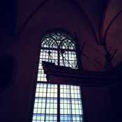 Rosie Conde's photo