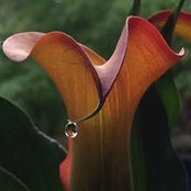 Ariel Michelson's photo