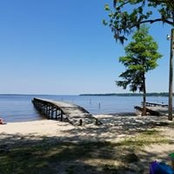 Sharon Tyson's photo