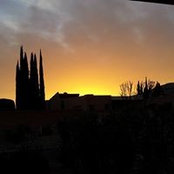 Foto von Pam Stevens