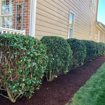 Mulching,pruning,sod, river rock, stepping stone installs