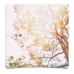 Beneath a tree Artwork - Prints And Posters