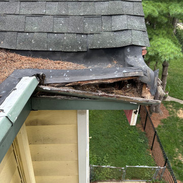 Box Gutter Repair in Cincinnati, OH