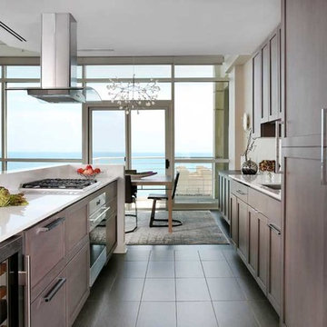 Chicago Condo Remodel with a View