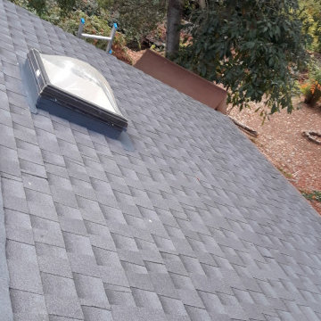 Roof with Skylights