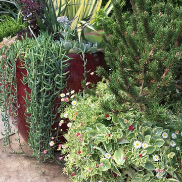 Containers