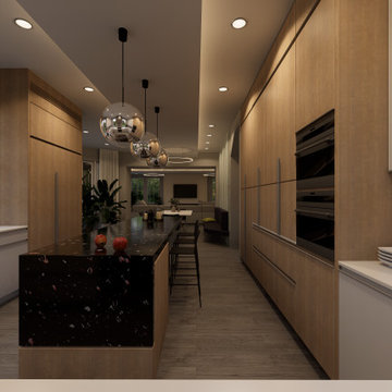 Summit Residence — Kitchen Visualization — D5 Final