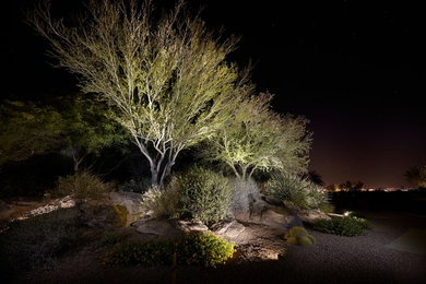 Inspiration for an expansive garden in Phoenix.