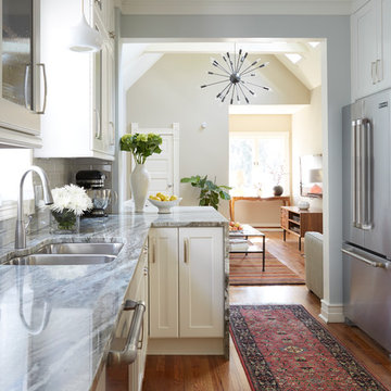 100 Year Old Chicago Farm House remodel