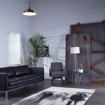 Contemporary Room Scenes
