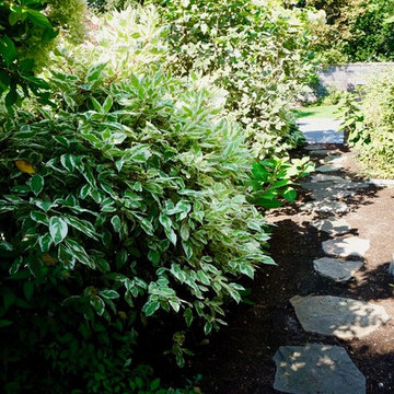 Total Landscape Redesign