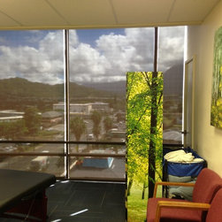 Screen Roller Shades - Products