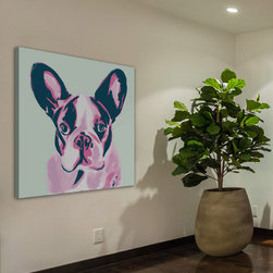 French  Bulldog - Productos