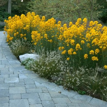Front Landscape