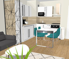 Besoin D Aide Amenagement Salon Salle A Manger Cuisine Piece De 23m2