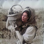Foto von Opitz Edith