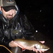 Robert Blunt's photo