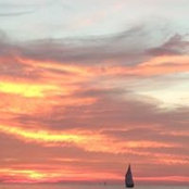 Foto de Doreen Wilcox
