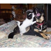 Taz Armour's photo