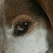 Laura Saavedra Kobak's photo