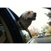 Debbie Andretta's photo