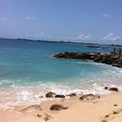 Sandra Ortiz's photo