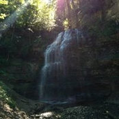 Lyane Brown's photo