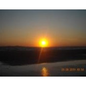Donna Crowley's photo