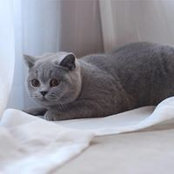 Annie An's photo