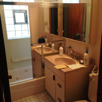 Oak Forest Handicap Bathroom Renovation 2014