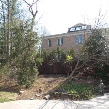 Pool Area Planting post Hurricane Sandy - Livingston, NJ