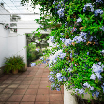 Jardín Dehesa El Boyal