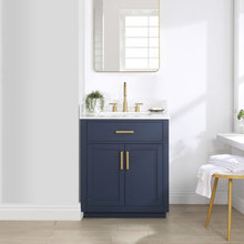 Spitz Remodel