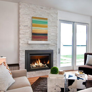 Kozy Heat Chaska 34 Gas Fireplace Insert