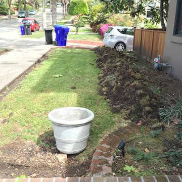 Lose the Lawn in Piedmont California
