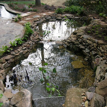 Ponds