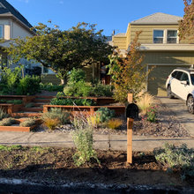 Front Of House Landscaping Ideas