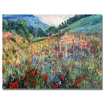 'Field of Wild Flowers' Canvas Art by Master's Fine Art