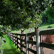 AMENAGEMENT CHEVAUX
