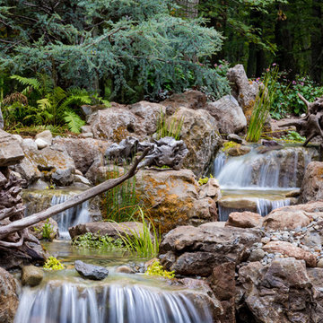 Pond Overhaul - Bedminster, NJ