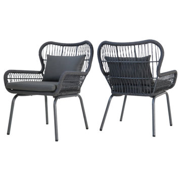 Denny Outdoor Steel and Rope Club Chairs, Set of 2, Gray