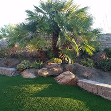 Landscape Rocks